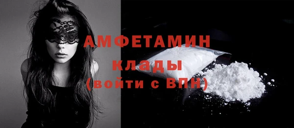 шишки Осташков