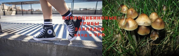 СК Аркадак