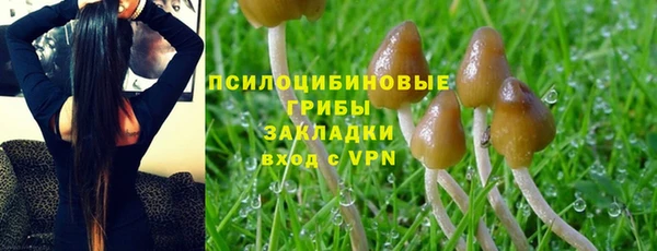бутират Арсеньев
