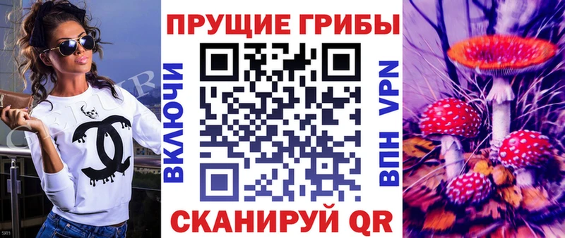 Псилоцибиновые грибы GOLDEN TEACHER Малгобек